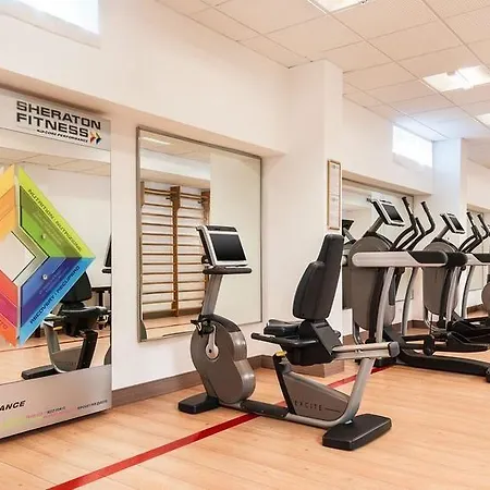 Hotel Sheraton Parco De' Medici Roma
