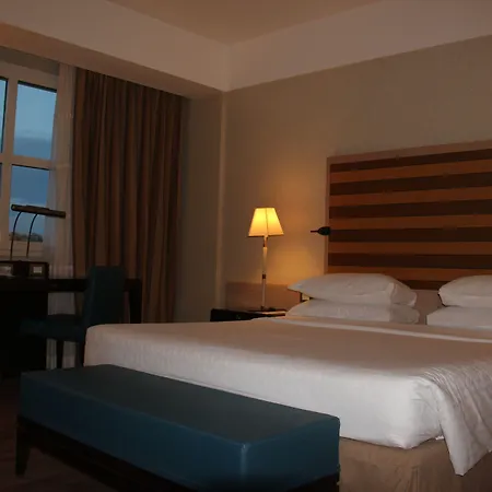 Hotel Sheraton Parco De Medici Rzym