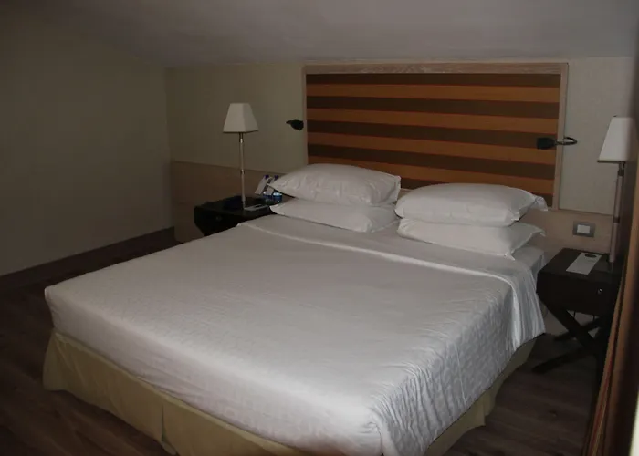 Hotell Sheraton Parco De Medici
