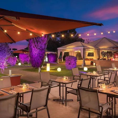 Sheraton Parco De Medici 酒店 罗马